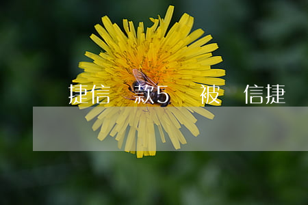 捷信貸款5萬被騙(信捷貸款騙局)