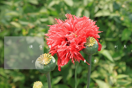 捷信貸款65000利息(捷信貸款65000要還12萬多)