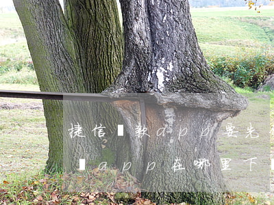 捷信貸款app要先付錢(捷現(xiàn)貸app在哪里下載)