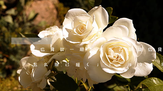 捷信貸款一期不還怎么辦(捷信貸款還不起了怎么辦已經(jīng)三年)