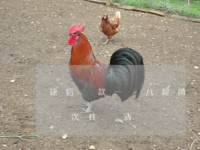 捷信貸款一萬八提前還款(捷信貸款可以提前一次性還清嗎)