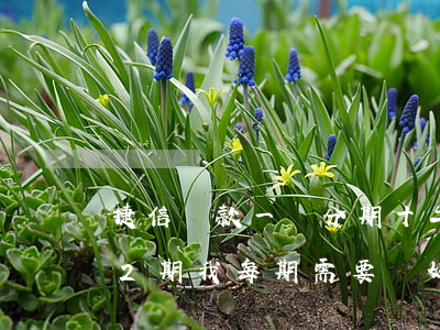 捷信貸款一萬分期十二月(捷信貸款1萬分12期,我每期需要還好多?)