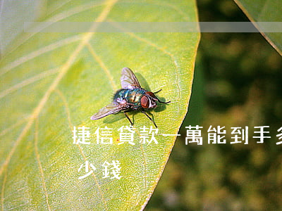 捷信貸款一萬能到手多少(捷信第一次能貸多少錢)