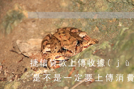 捷信貸款上傳收據(jù)可以嗎(捷信貸款是不是一定要上傳消費(fèi)憑證怎么樣)