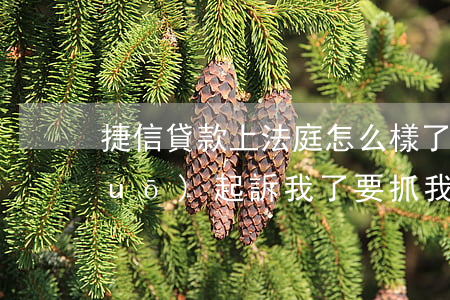 捷信貸款上法庭怎么樣了(捷信貸款說(shuō)起訴我了要抓我坐牢是不是真的)