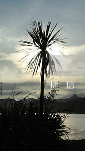 捷信貸款下款速度怎么樣(捷信貸款利息高嗎)
