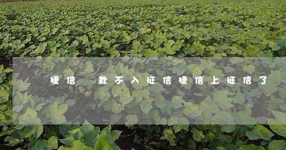 捷信貸款不入征信(捷信上征信了嗎)