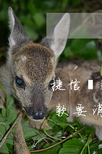 捷信貸款不提供消費(fèi)憑證(捷信貸款要消費(fèi)憑證沒有怎么辦)