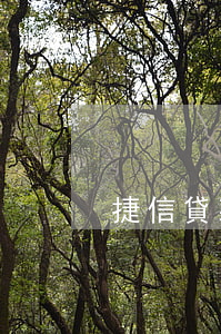 捷信貸款不用面簽(捷信貸款有什么要求嗎)