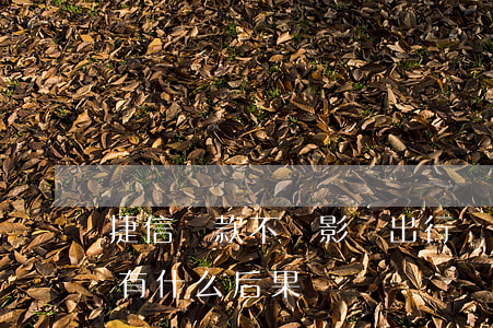 捷信貸款不還影響出行嗎(捷信金融貸款不還有什么后果)
