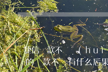 捷信貸款不還會(huì)封信用卡嗎(捷信的貸款不還有什么后果)