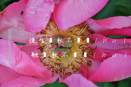 捷信貸款不還會(huì)找公安嗎(捷信金融貸款不還會(huì)上征信嗎)