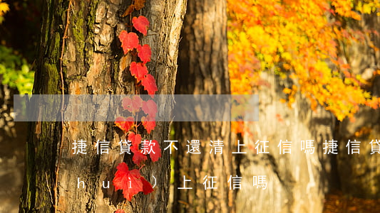 捷信貸款不還清上征信嗎(捷信貸款不還會(huì)上征信嗎)