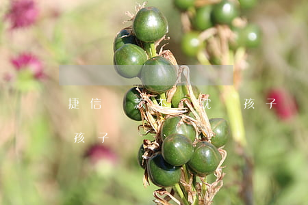 捷信貸款不還耽誤孩子嗎(捷信貸款不還耽誤孩子嗎)