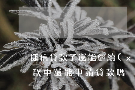 捷信貸款了還能繼續(xù)貸嗎(捷信在還款中還能申請貸款嗎)