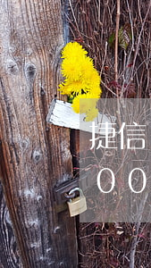 捷信貸款五千沒還怎么辦(我在捷信貸款65000元現(xiàn)在還不起了怎么辦)