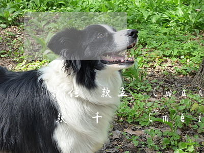 捷信貸款五萬(wàn)多還了倆月(捷信貸款兩千塊沒(méi)還會(huì)怎么樣)