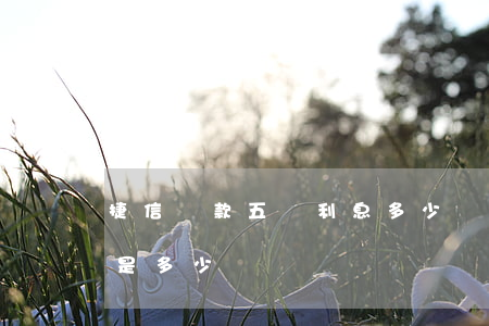 捷信貸款五萬利息多少錢(捷信貸款5萬利息是多少)