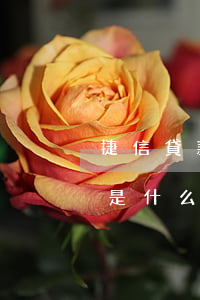 捷信貸款五萬還了四個月(捷信貸款五萬不還是什么后果)