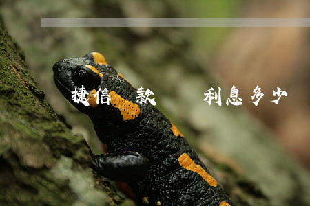 捷信貸款兩萬利息多少錢(捷信貸款利率多少)