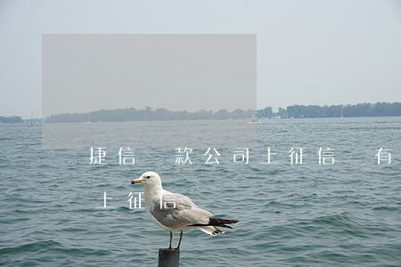 捷信貸款公司上征信沒有(捷越貸款公司上不上征信)