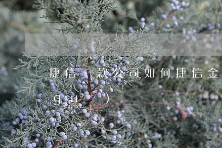 捷信貸款公司如何(捷信金融貸款公司正規(guī)嗎)