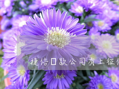 捷信貸款公司有上征信嗎(捷信貸款上征信么)