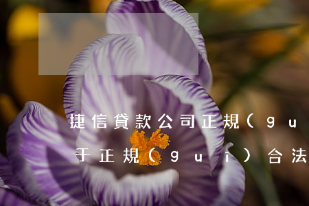 捷信貸款公司正規(guī)合法嗎(捷信屬于正規(guī)合法貸款公司嗎)