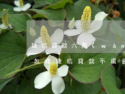 捷信貸款六萬(wàn)不還會(huì)怎樣(捷信貸款不還會(huì)怎么樣捷信最新消息)