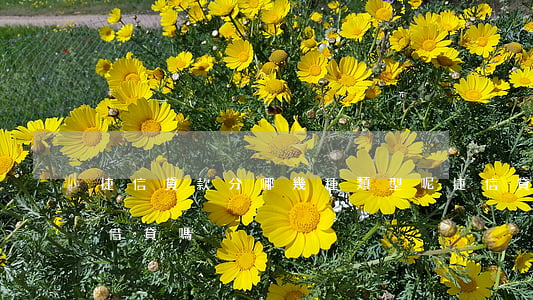 捷信貸款分哪幾種類型呢(捷信貸款屬于民間借貸嗎)