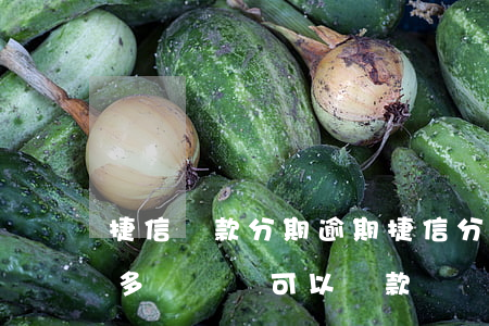 捷信貸款分期逾期(捷信分期有逾期上征信了多長時間可以貸款)