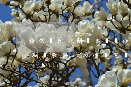捷信貸款分期還要還雙倍(捷信金融里面的分期貸款 能一次性還完嗎?)