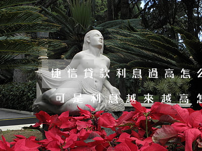 捷信貸款利息過高怎么辦(在捷信貸款逾期了可是利息越來越高怎么辦)