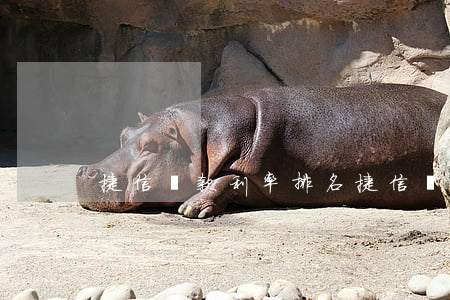 捷信貸款利率排名(捷信貸款利率排名)
