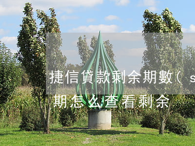 捷信貸款剩余期數(shù)怎么查(捷信分期怎么查看剩余)
