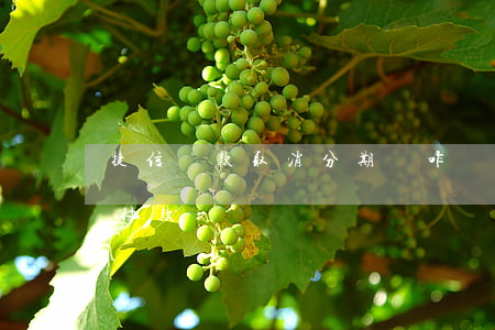 捷信貸款取消分期會咋樣(怎么取消捷信分期付款)