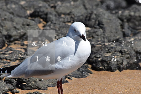 捷信貸款只上傳發(fā)票行吧(捷信貸款了需要上傳憑證和發(fā)票沒有怎么辦)