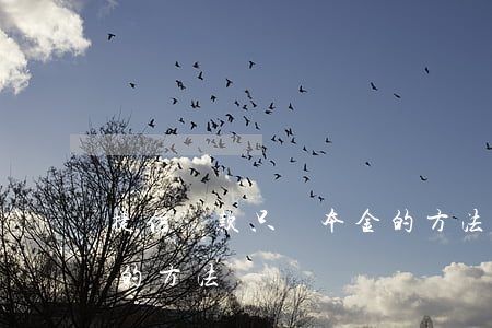 捷信貸款只還本金的方法(捷信貸款只還本金的方法)
