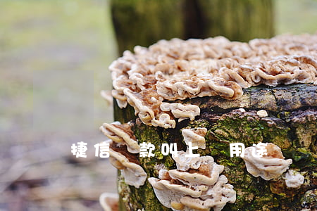 捷信貸款叫上傳用途憑證
