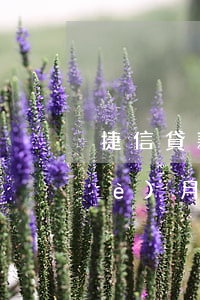 捷信貸款可以三次貸款嗎(捷信還款幾個(gè)月可以二次貸款)