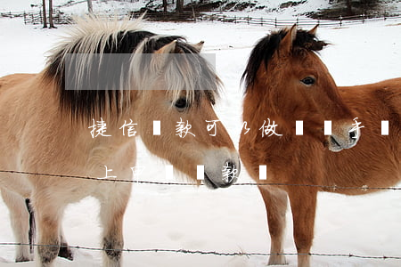捷信貸款可以做幾個手機(捷信能自己在手機上申請貸款嗎)