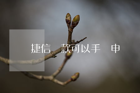 捷信貸款可以手機申請嗎(手機怎么申請網捷貸)