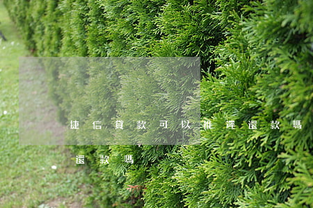 捷信貸款可以推遲還款嗎(捷信貸款可以延期還款嗎)