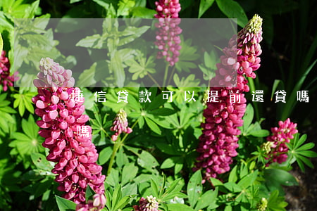 捷信貸款可以提前還貸嗎(捷信貸款還需要還嗎)