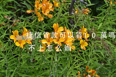 捷信貸款可以貸10萬嗎(貸了捷信10萬還不上怎么辦)