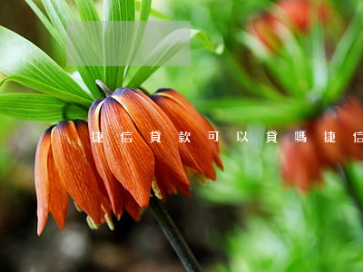 捷信貸款可以貸嗎(捷信金融貸款合法嗎)