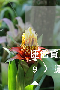 捷信貸款可以辦信用卡嗎(怎么申請(qǐng)捷信金融貸款)