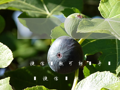 捷信貸款可能換手機(jī)號(hào)嗎(捷信貸款可能換手機(jī)號(hào)嗎)