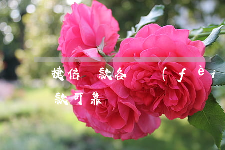 捷信貸款各種費(fèi)用合法嗎(捷信貸款可靠嗎)