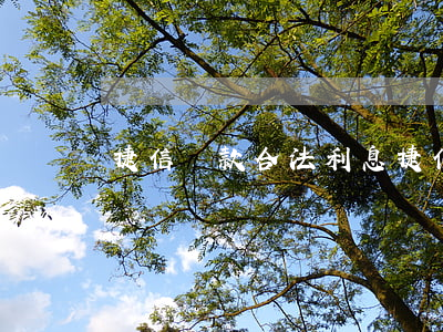 捷信貸款合法利息(捷信金融商品貸利息)